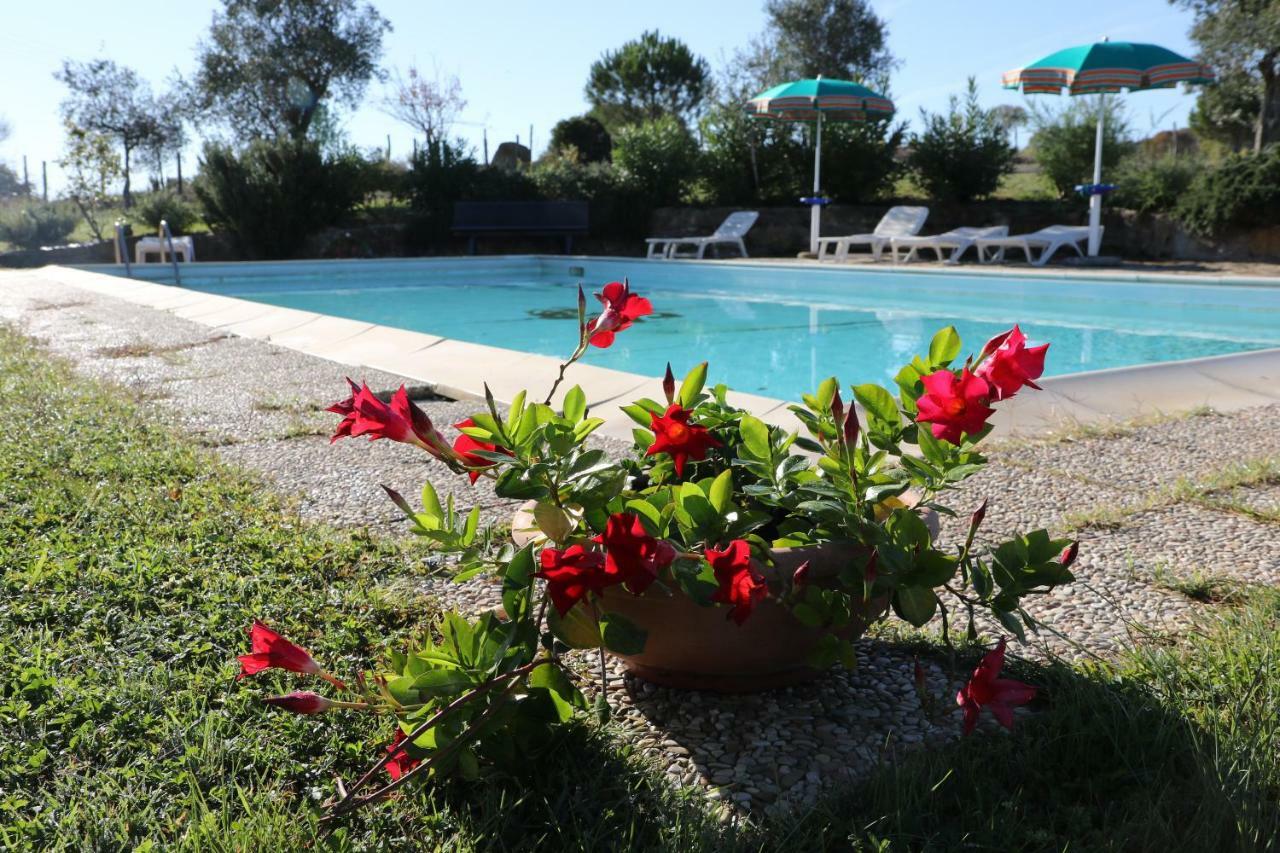 Agriturismo Tinti モンティアーノ エクステリア 写真