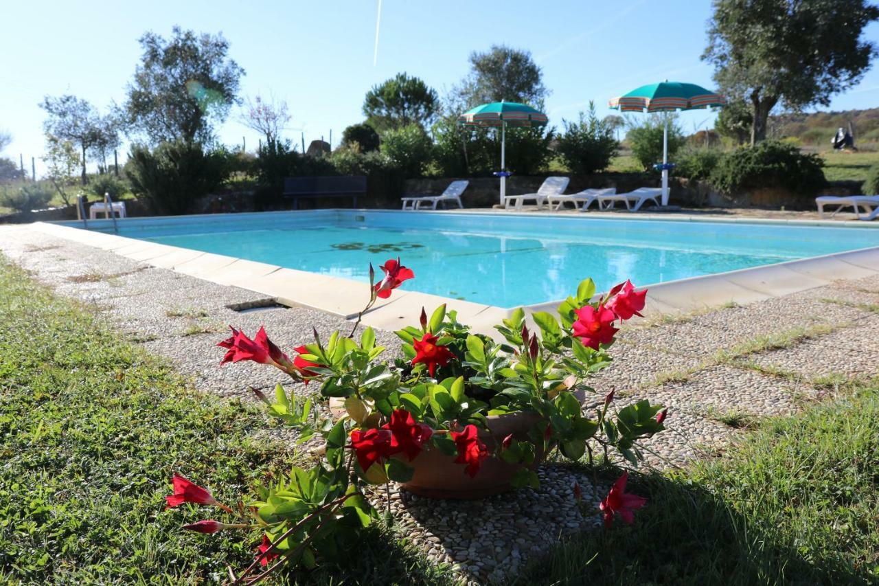 Agriturismo Tinti モンティアーノ エクステリア 写真